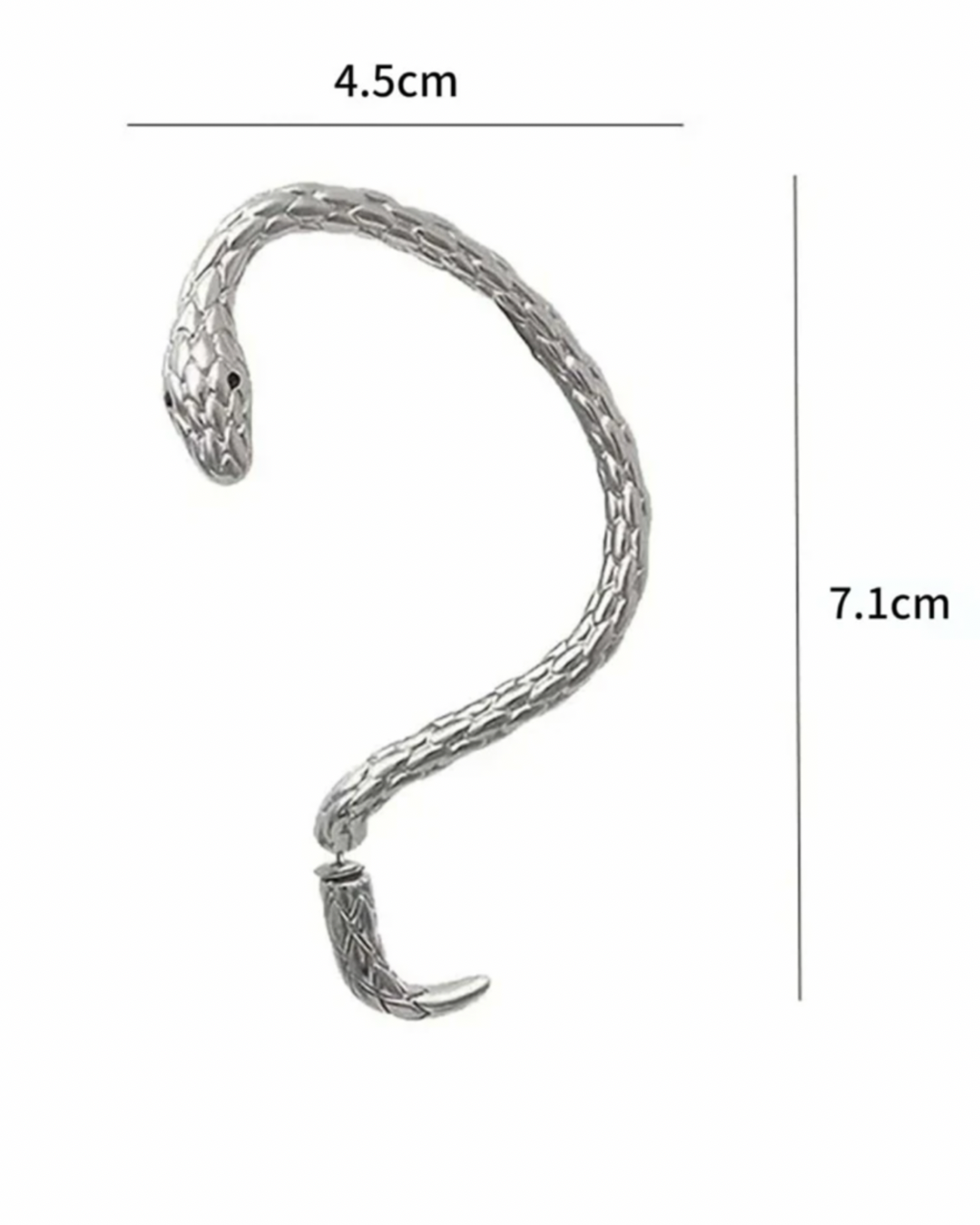 Snake wrap Earrings