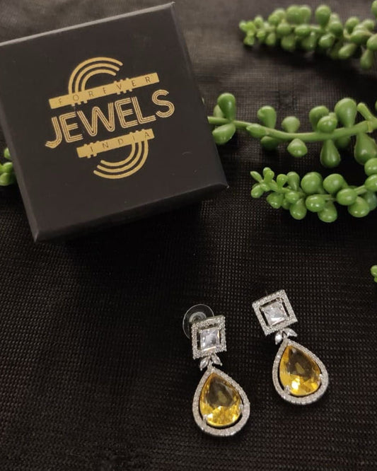 Minimal Luxe Drop Earrings